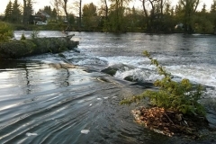 Ohre river