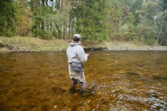 Otava river