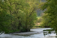 Otava river