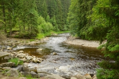 The junction of the Vydra and Kremelna rivers. Photo Jan Siman.