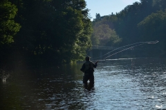 Otava river