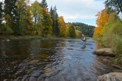 Otava river