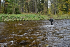 Otava river