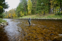 Otava river