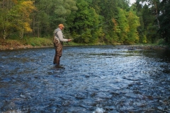 Otava river