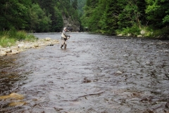 Otava river