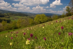 Sumava from Retenice