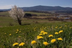 Smrcina mountain from Slunecna