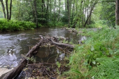 Spulka river