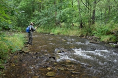 Spulka river