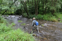 Spulka river