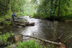 Spulka river