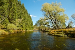 Tepla Vltava river