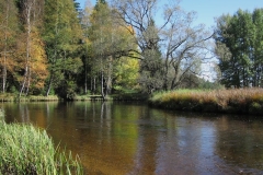 Tepla Vltava river